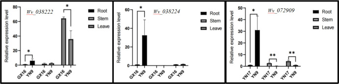 Fig 6