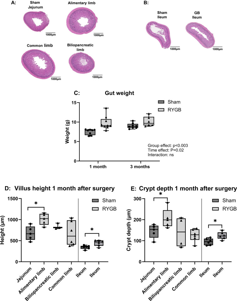 Fig 4