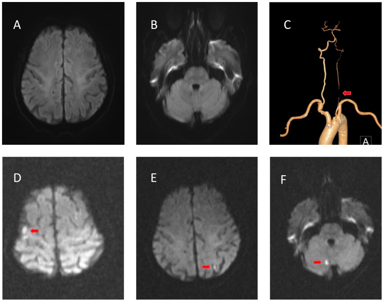 Figure 1