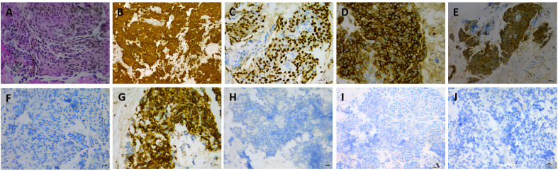 Figure 1