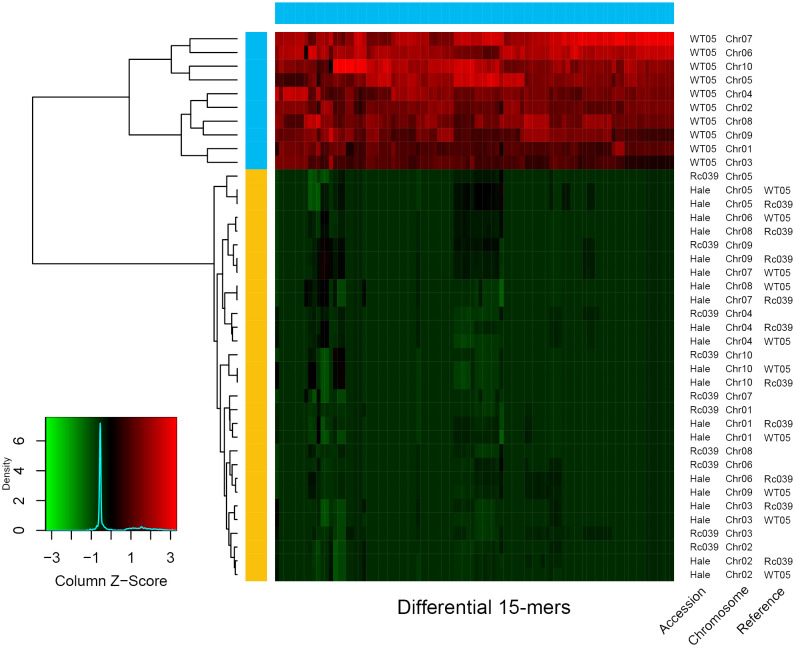Figure 4