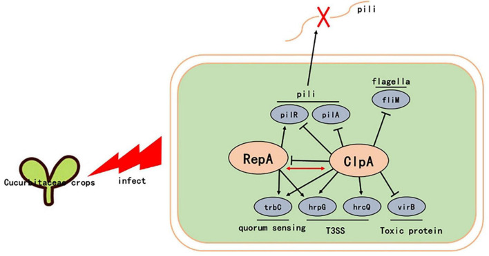 FIGURE 7