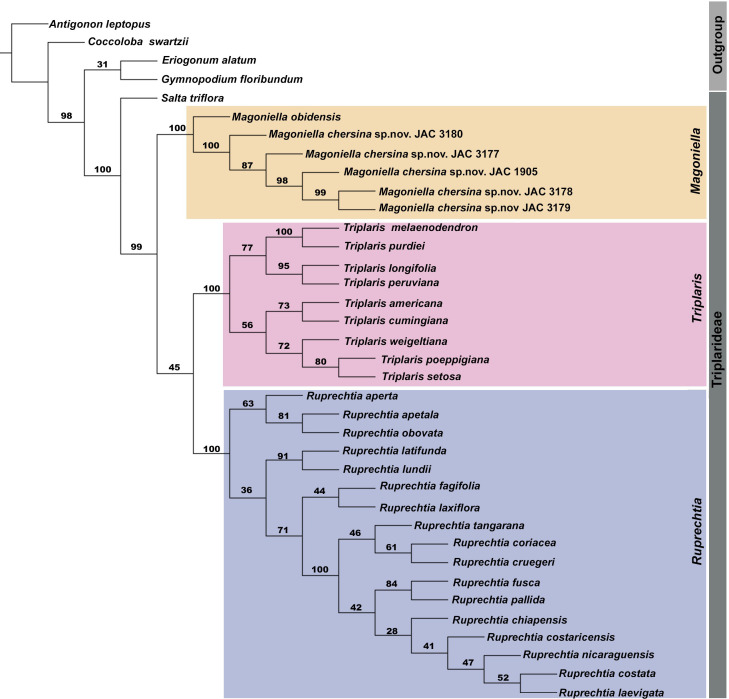 Figure 2