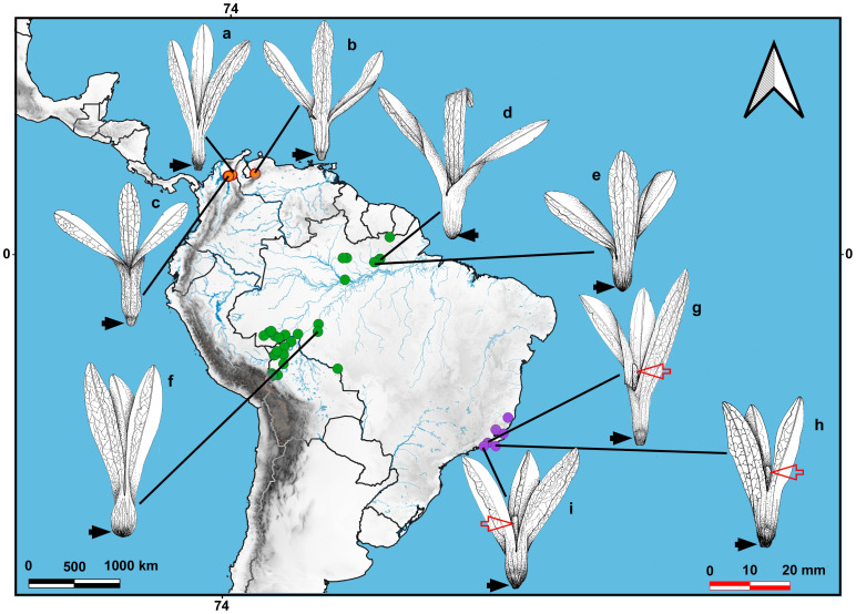 Figure 3