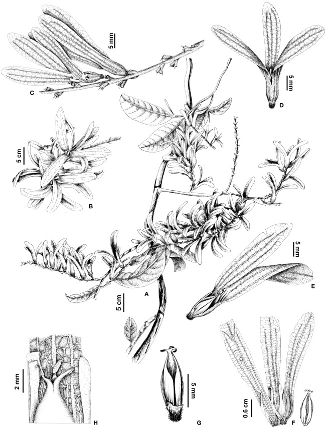 Figure 5