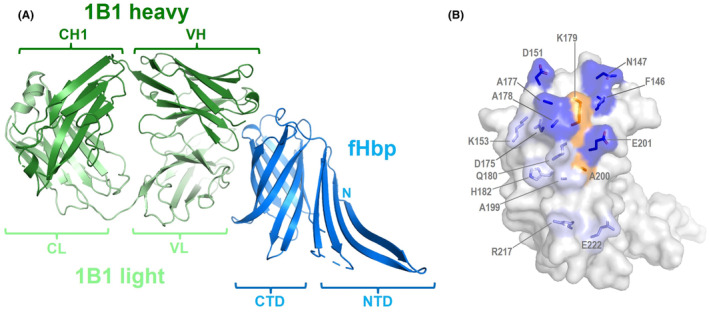 FIGURE 4