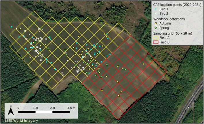 FIGURE 3