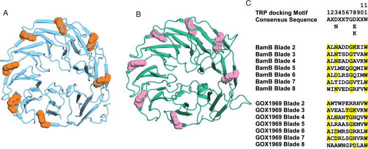 Fig 2