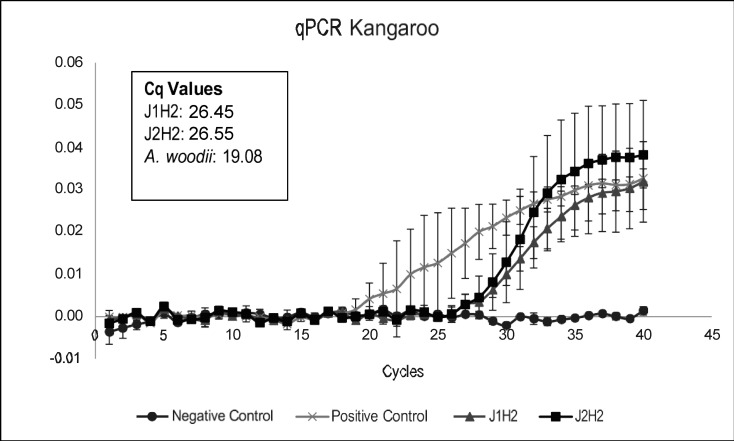 Fig 5