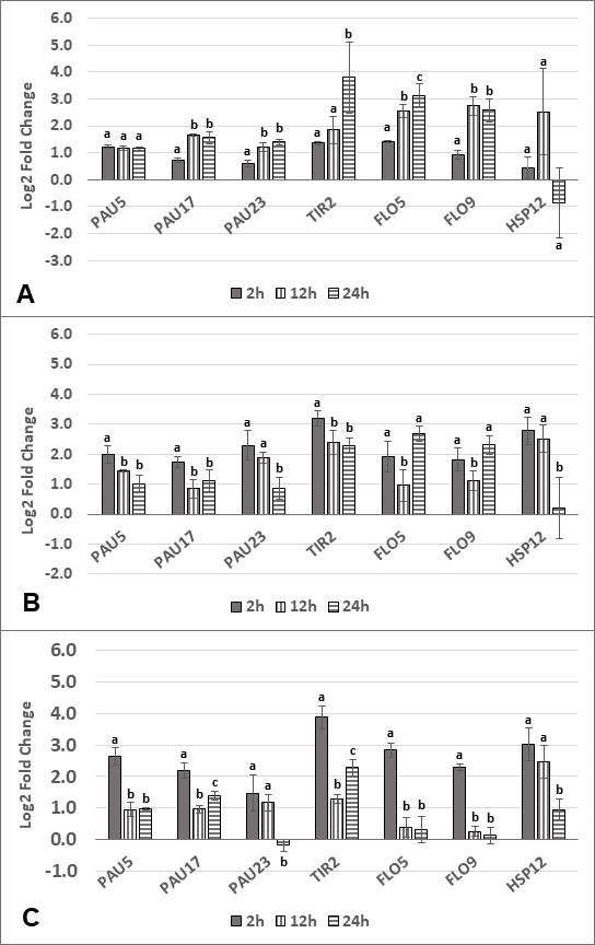 Fig 6