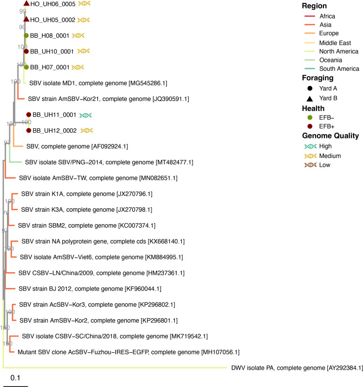 Fig 3