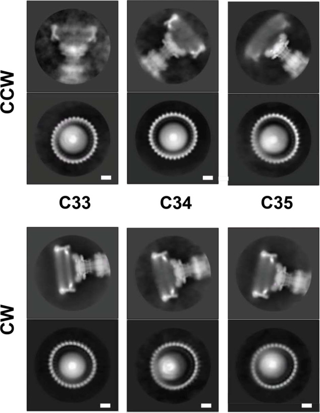Extended Data Figure 3
