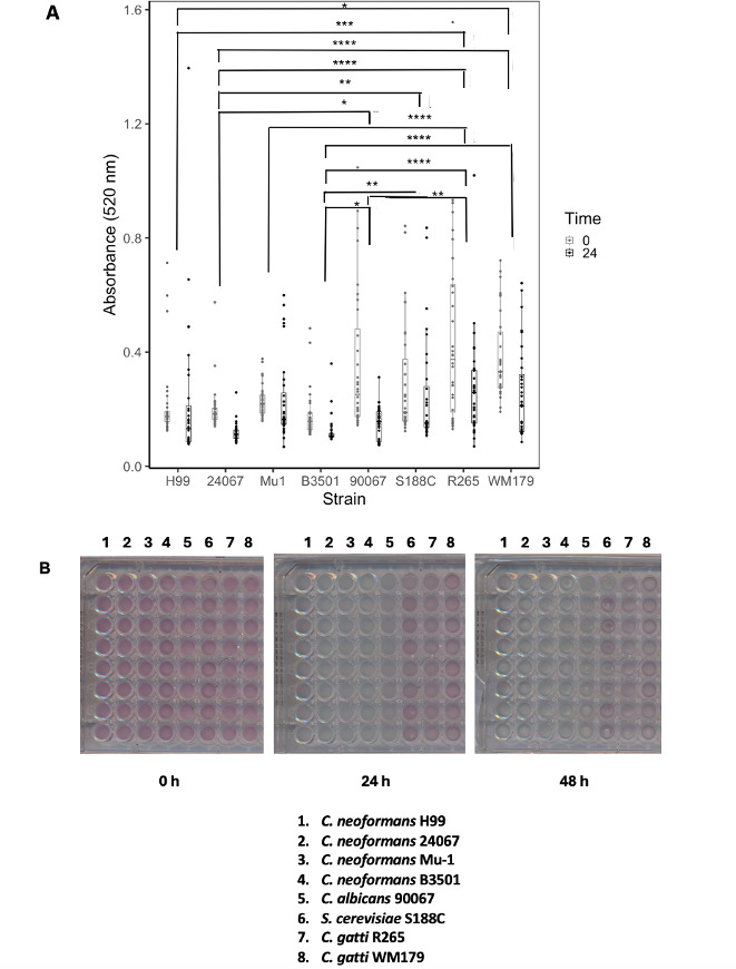 Fig 8
