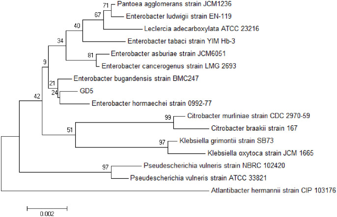 Fig 3
