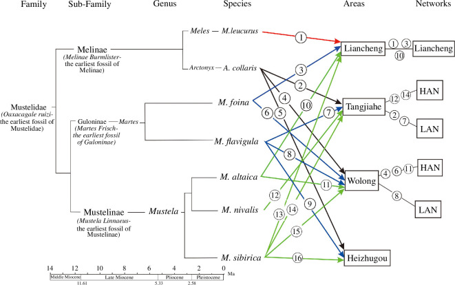 Figure 6