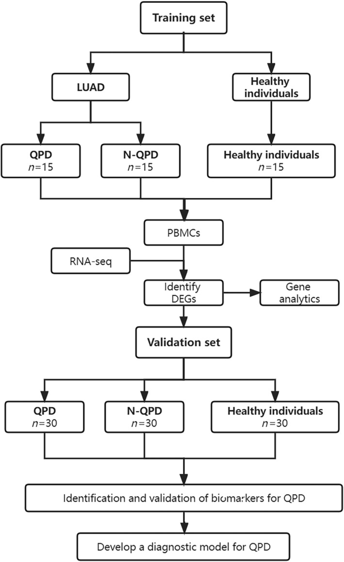 FIGURE 1