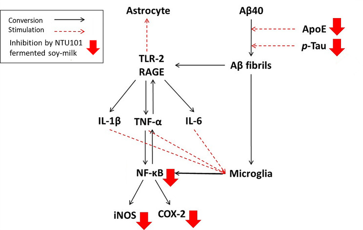 Figure 9