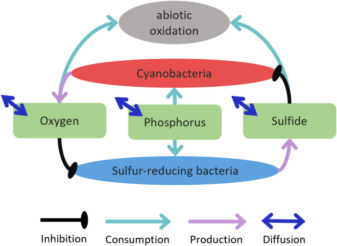 FIGURE 2