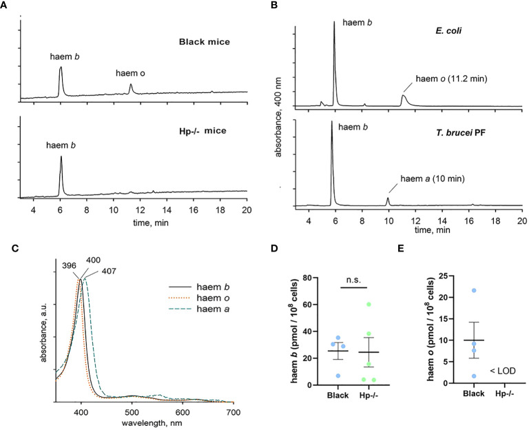 Figure 5