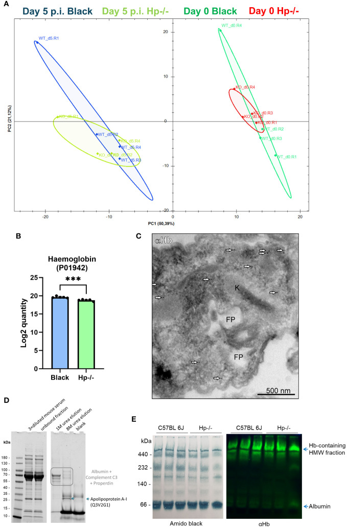 Figure 6