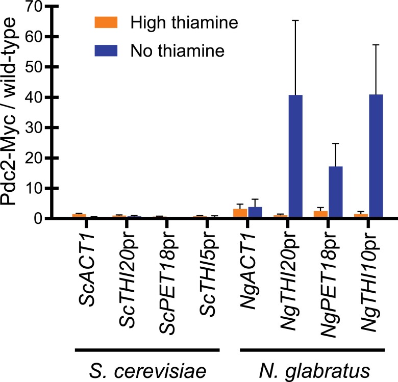 Fig. 6