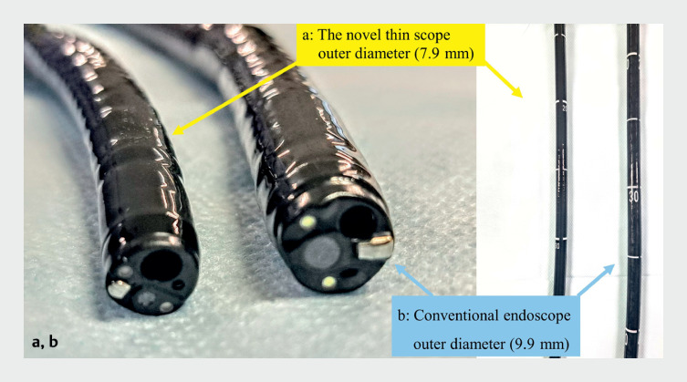 Fig. 1