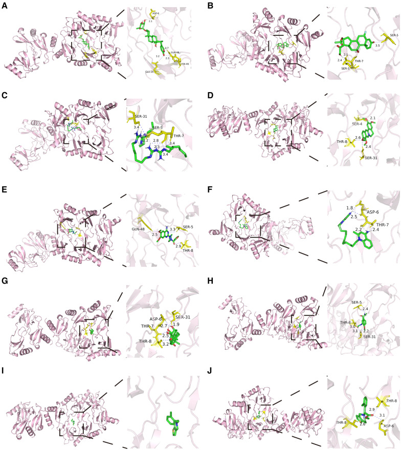 Figure 9