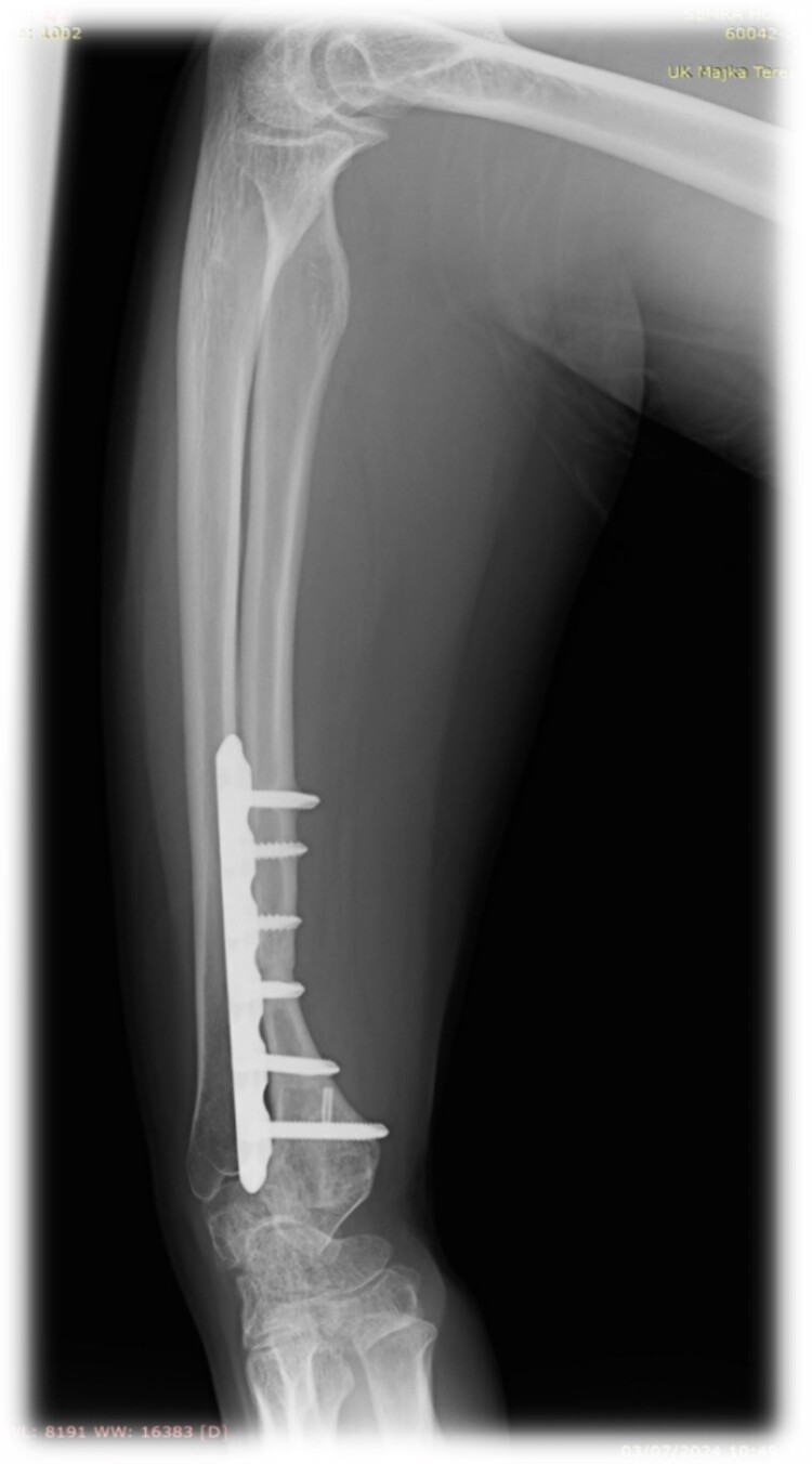 Figure 7