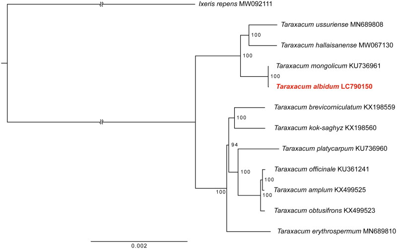 Figure 3