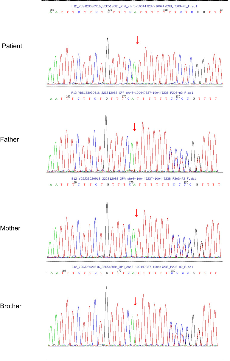Figure 2