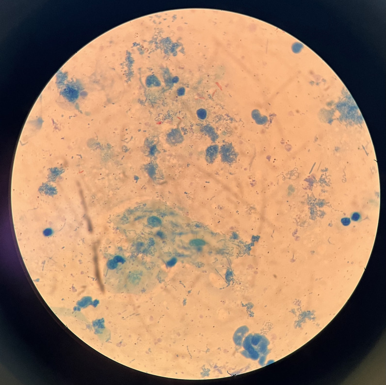 Figure 5