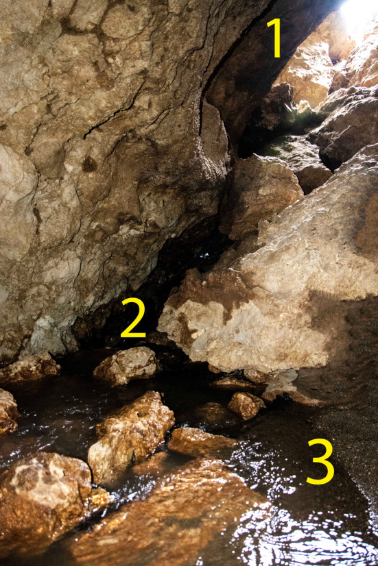 FIGURE 4