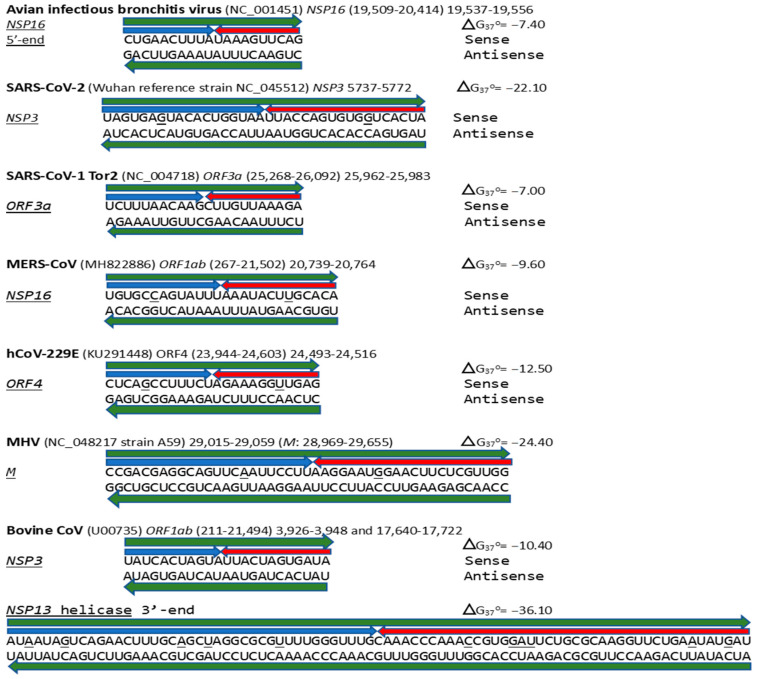 Figure 17