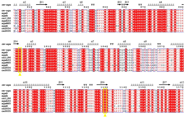 Figure 11