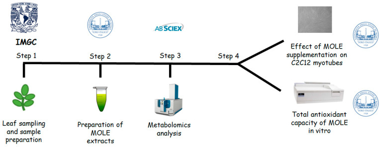 Figure 10