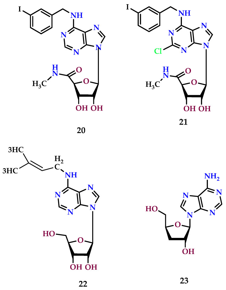 Figure 11