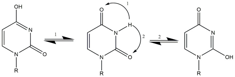 Figure 9