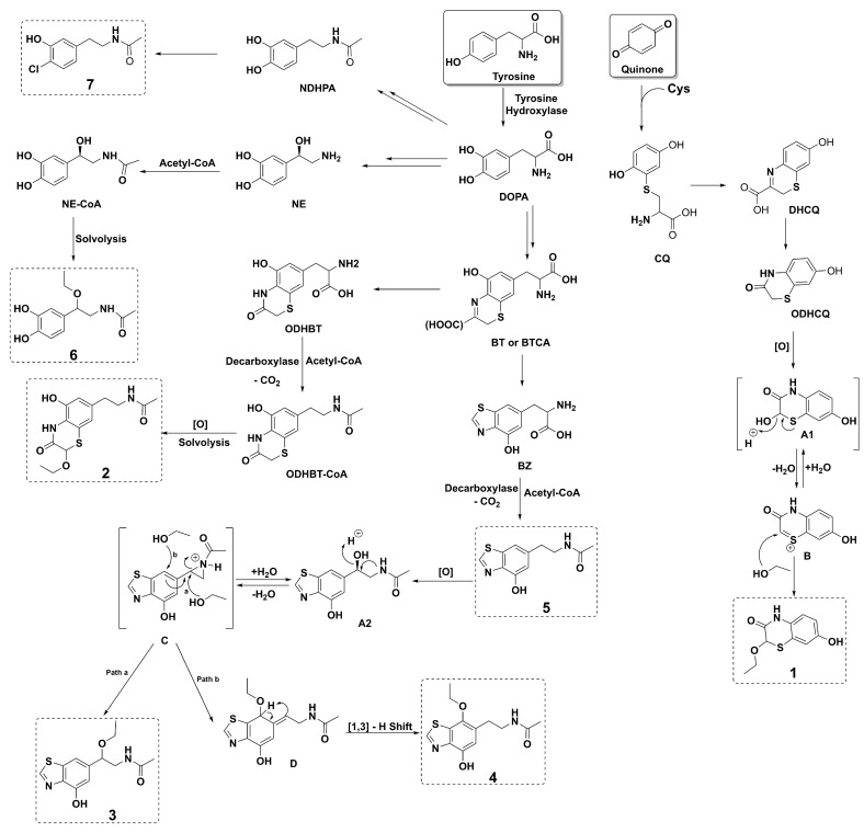 Figure 7