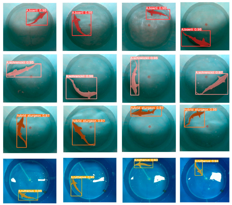 Figure 9