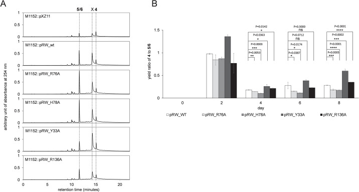 Figure 5
