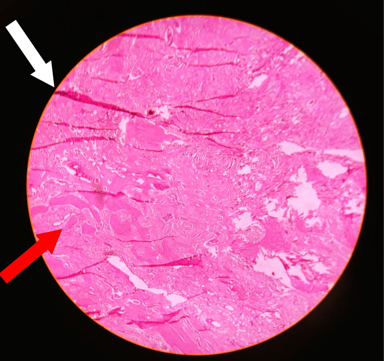 Figure 8