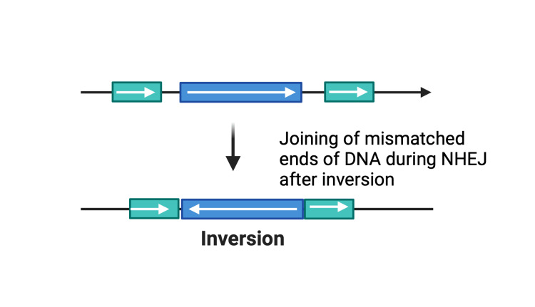 Figure 9