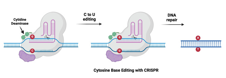 Figure 10