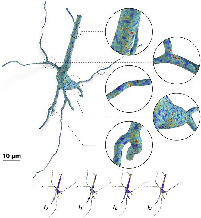 Figure 4