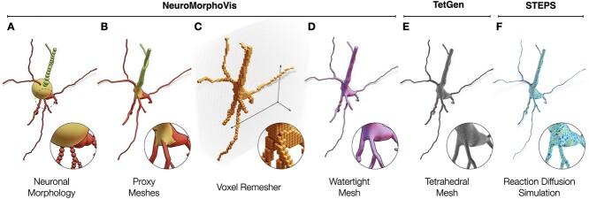 Figure 6