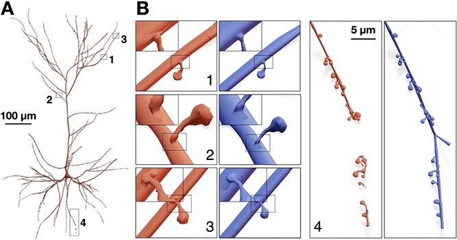 Figure 9