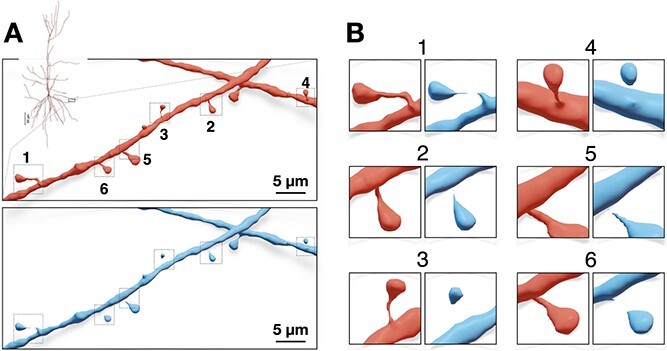 Figure 10