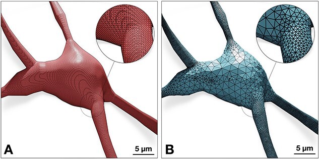 Figure 11