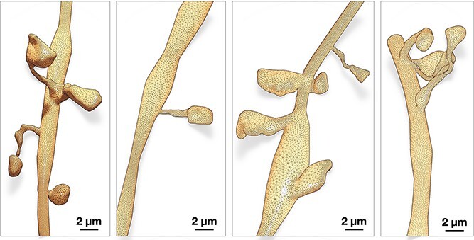 Figure 12