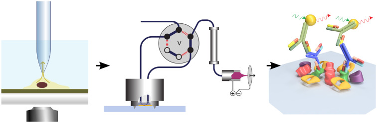 Figure 8